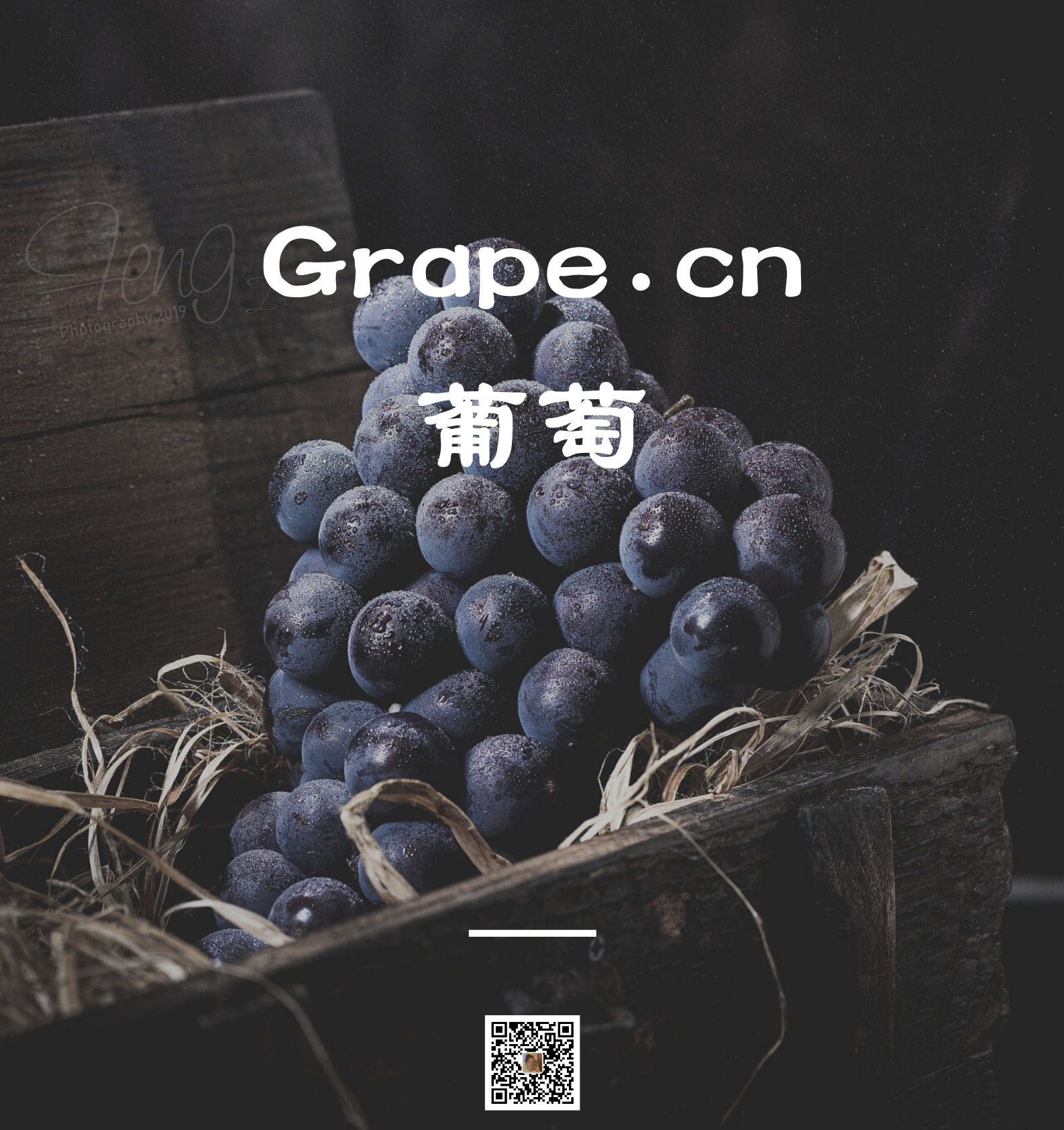 grape.cn